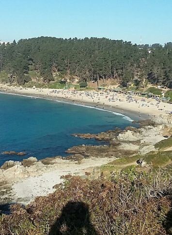 Playa Canelo